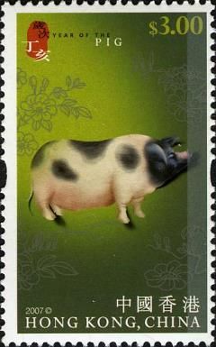 Pig (Sus scrofa domestica)