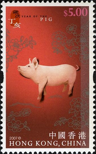 Pig (Sus scrofa domestica)