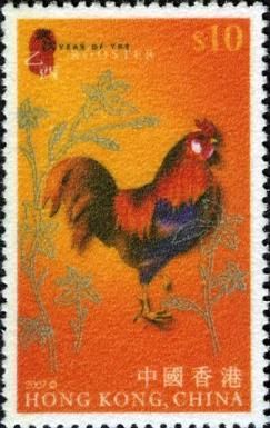 Rooster (Gallus gallus domesticus)