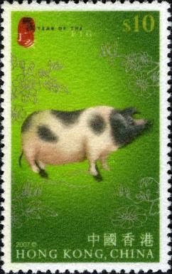 Pig (Sus scrofa domestica)