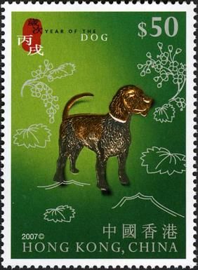 Dog (Canis lupus familiaris)