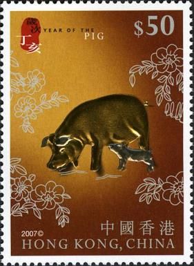 Pig (Sus scrofa domestica)