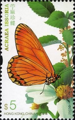 Yellow Coster (Acraea issoria)