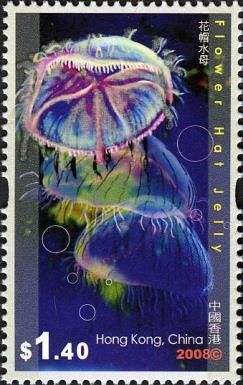 Flower Hat Jellyfish (Olindias formosa)