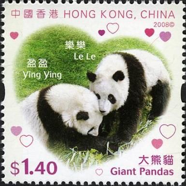 Giant Panda (Ailuropoda melanoleuca)