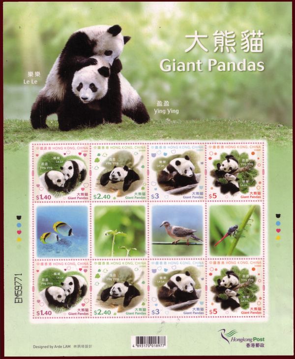 Giant Panda (Ailuropoda melanoleuca)