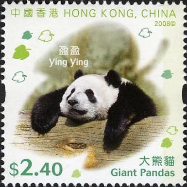 Giant Panda (Ailuropoda melanoleuca)