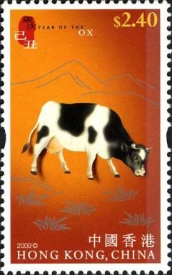 Domestic Cattle (Bos primigenius taurus)