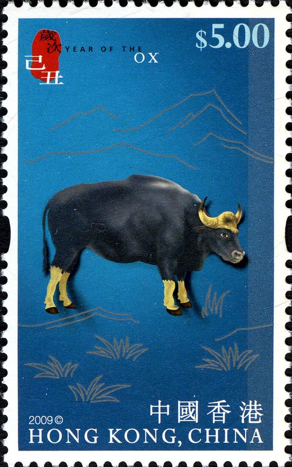 Gaur (Bos gaurus)