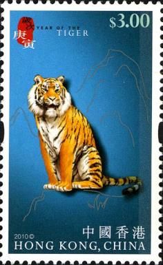 Tiger (Panthera tigris)