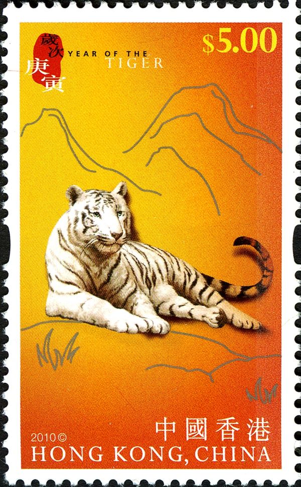 Tiger (Panthera tigris)