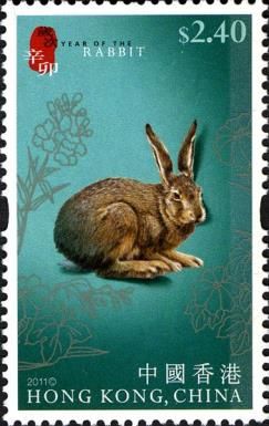 Year of the Rabbit