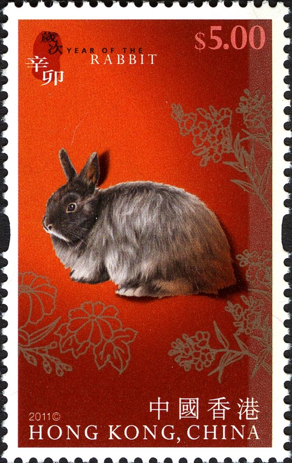 Year of the Rabbit