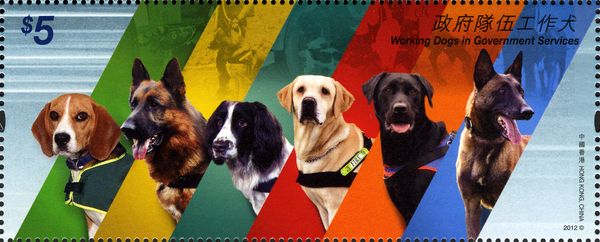 Working Dogs (Canis lupus familiaris) in Government Services