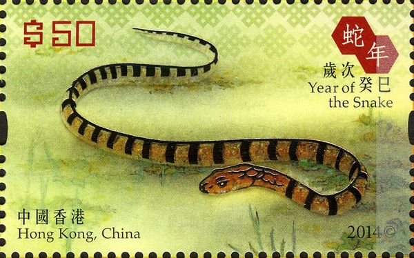 Year of the Snake