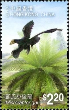 Microraptor gui