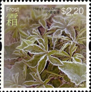 Frost