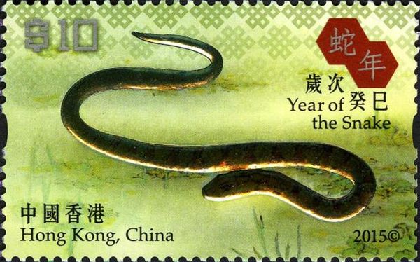 Year of the Snake