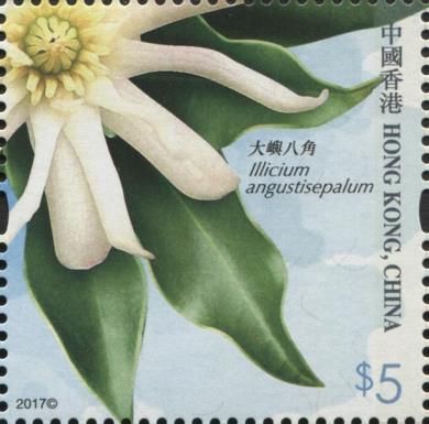 Illicium angustisepalum