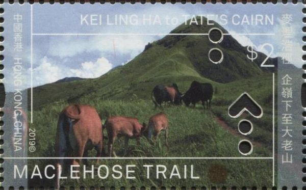 MacLehose Trail : Kei Ling Ha to Tate's Cairn
