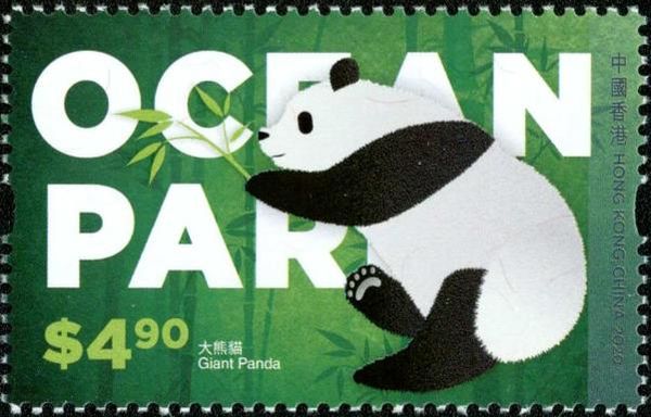 Giant Panda