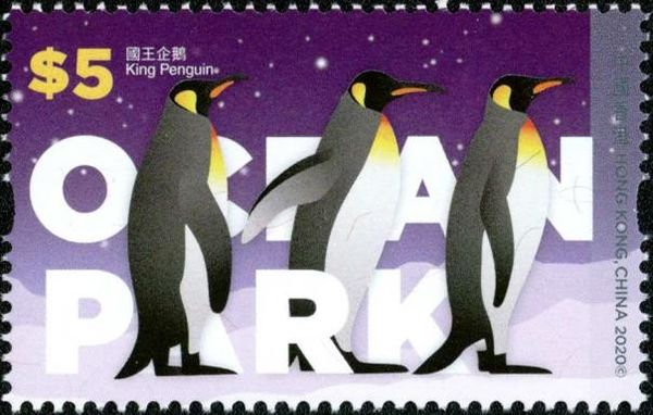 King Penguin