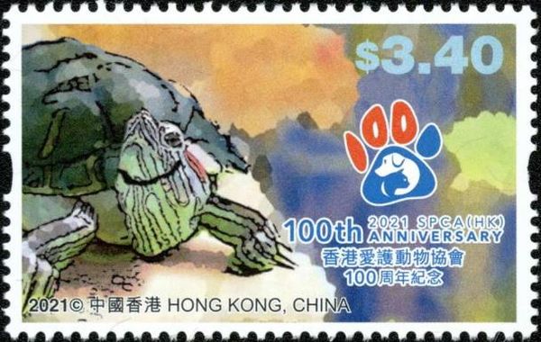 Turtle