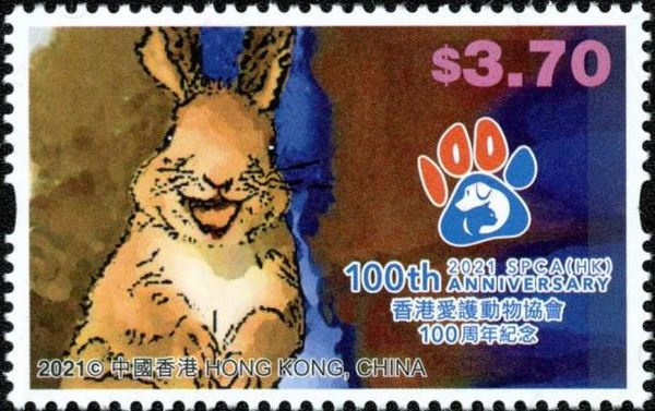 Rabbit