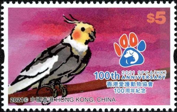 Cockatoo