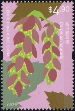 Carpinus insularis
