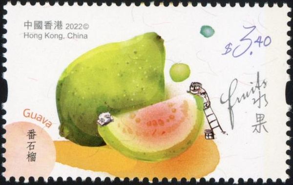 Guava