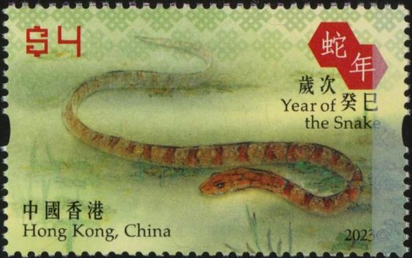 Snake