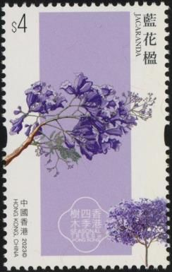 Jacaranda (Jacaranda mimosifolia)