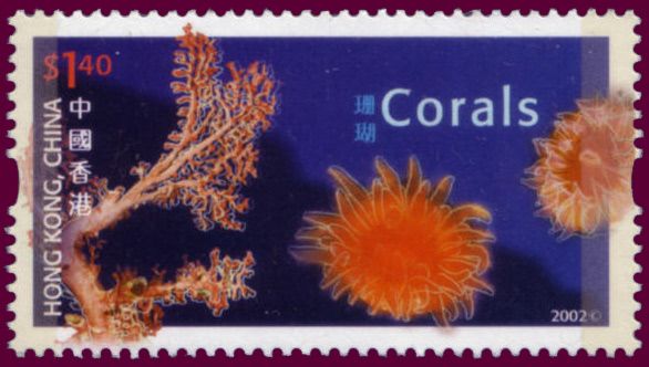 Corals