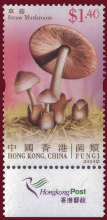 Mushrooms