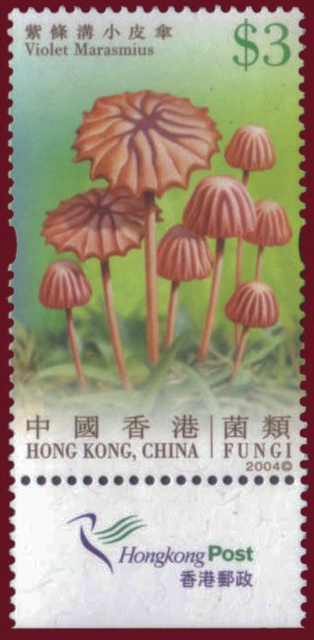 Mushrooms
