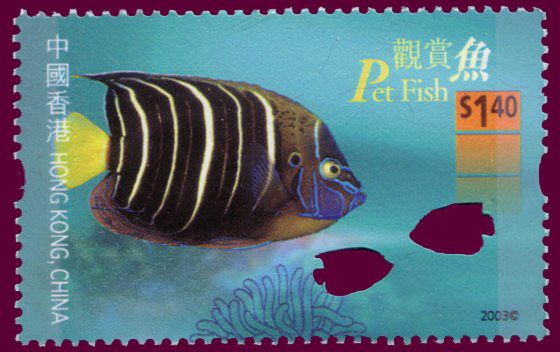Aquarium Fishes