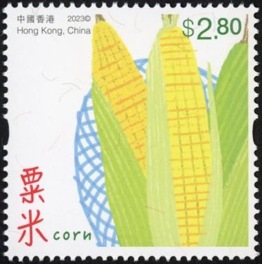 Corn (Maize)