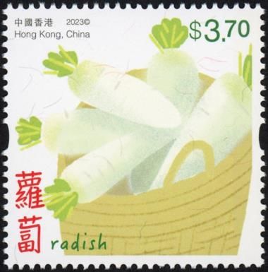 Daikon Radish