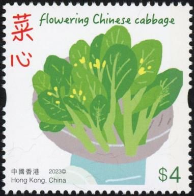 Flowering Chinese Cabbage