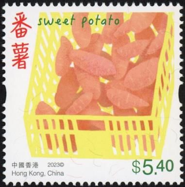 Sweet Potato
