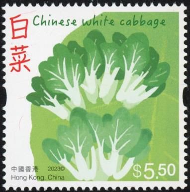 Chinese White Cabbage