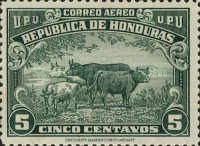 Cattle Herd (Bos primigenius taurus)