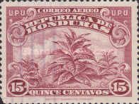 Tobacco Plant