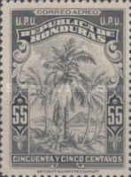 Coconut Palm Tree