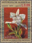 National Flower (Brassavola digbyana)