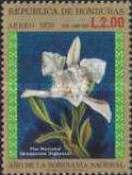 National Flower (Brassavola digbyana)