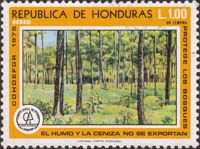 Forest protection