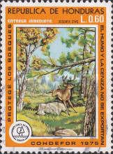 Forest protection