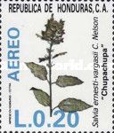 Salvia ernesti-vargasii